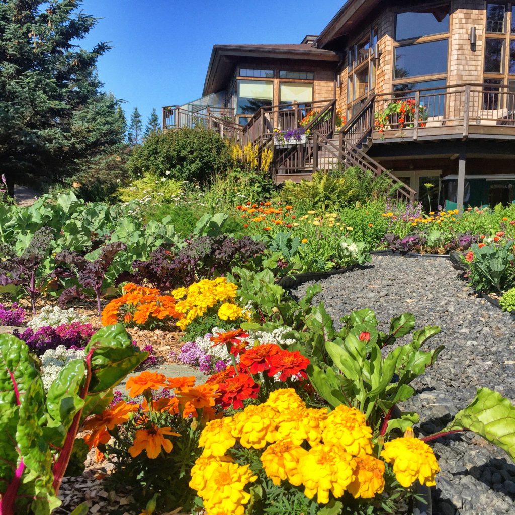 Throwback Thursdayluxurious visit to Stillpoint Lodge in Halibut Cove