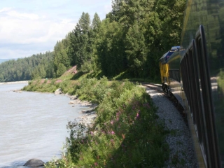 Along the Susitna River.
