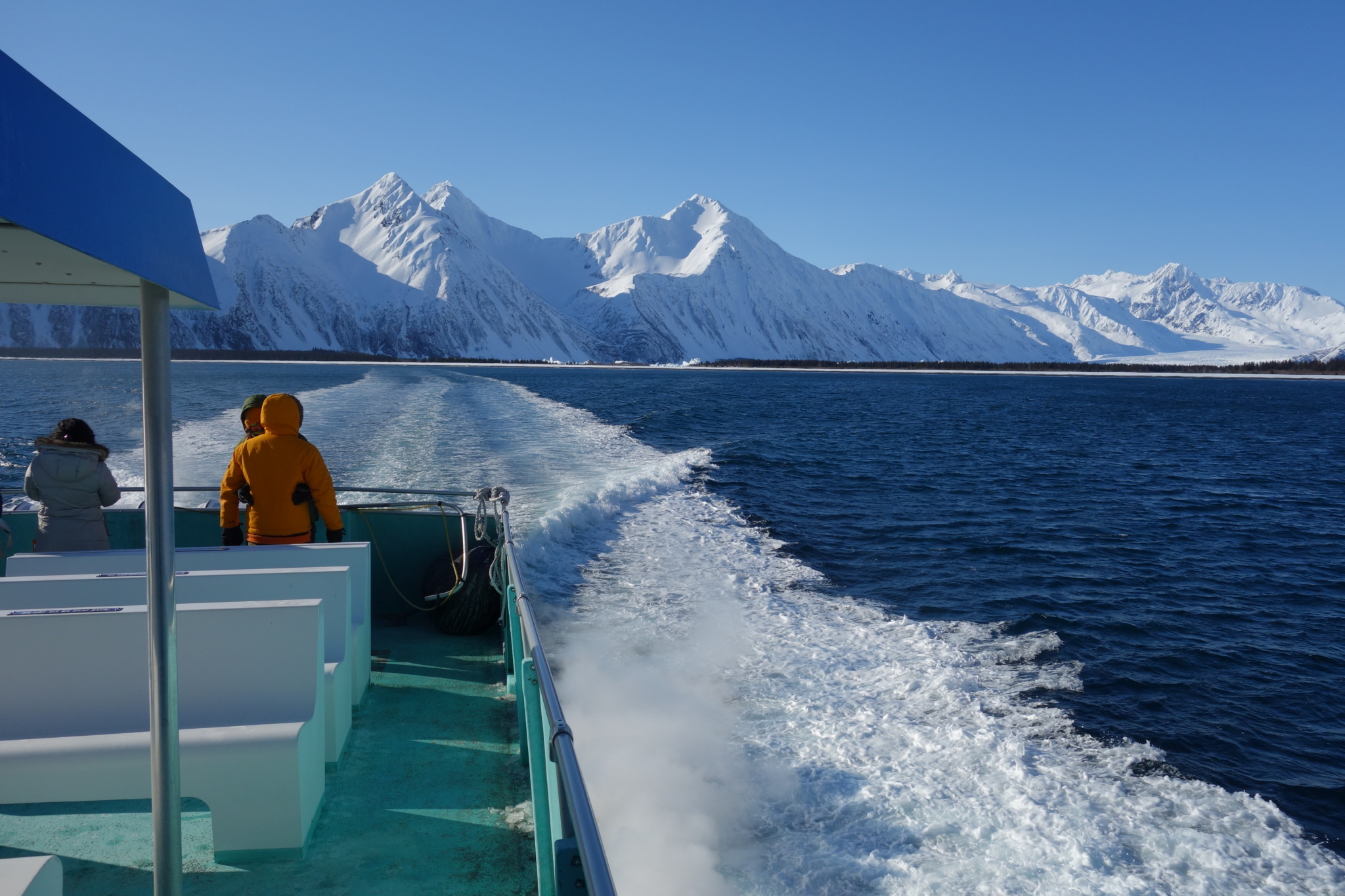 Now Sailing Resurrection Bay With Kenai Fjords Tours Laptrinhx News