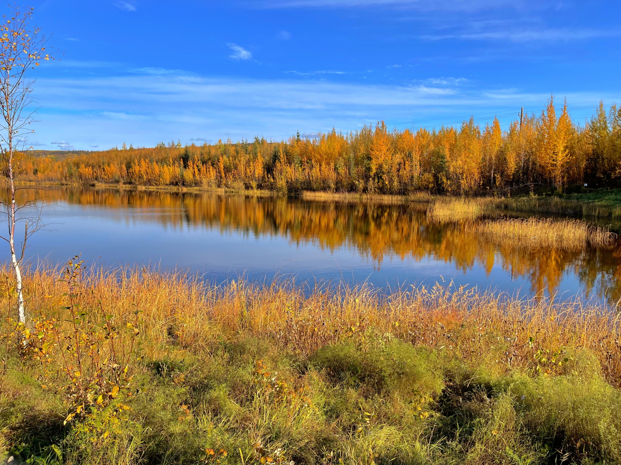A-h-h-h….Fairbanks in the Fall