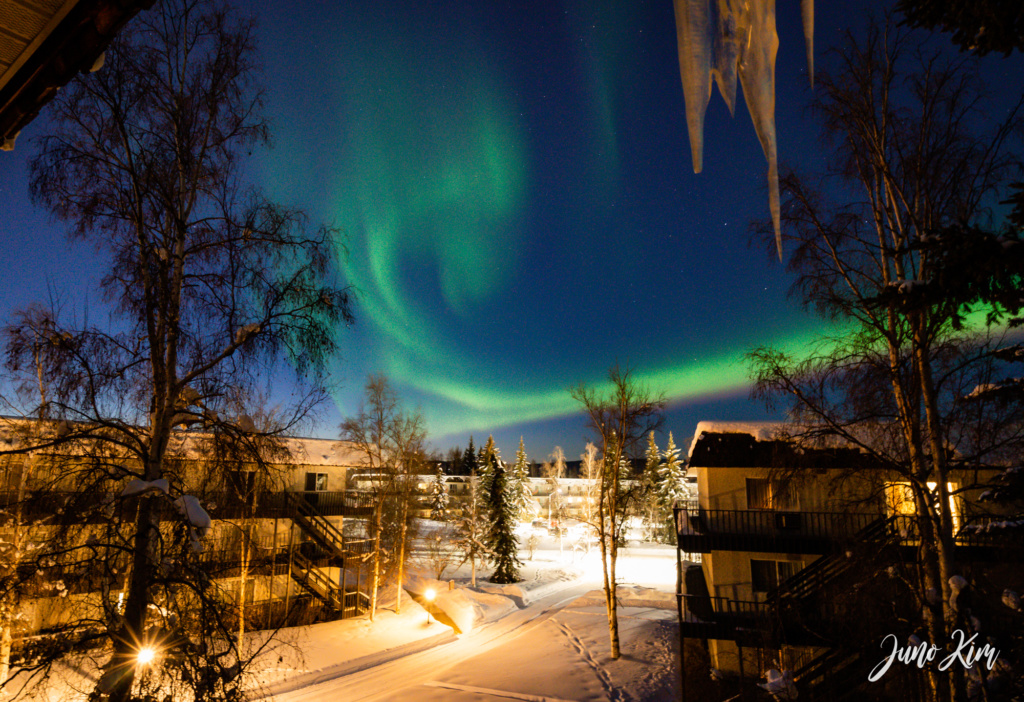 the northern lights from the Wedgewood Resort in Fairbanks