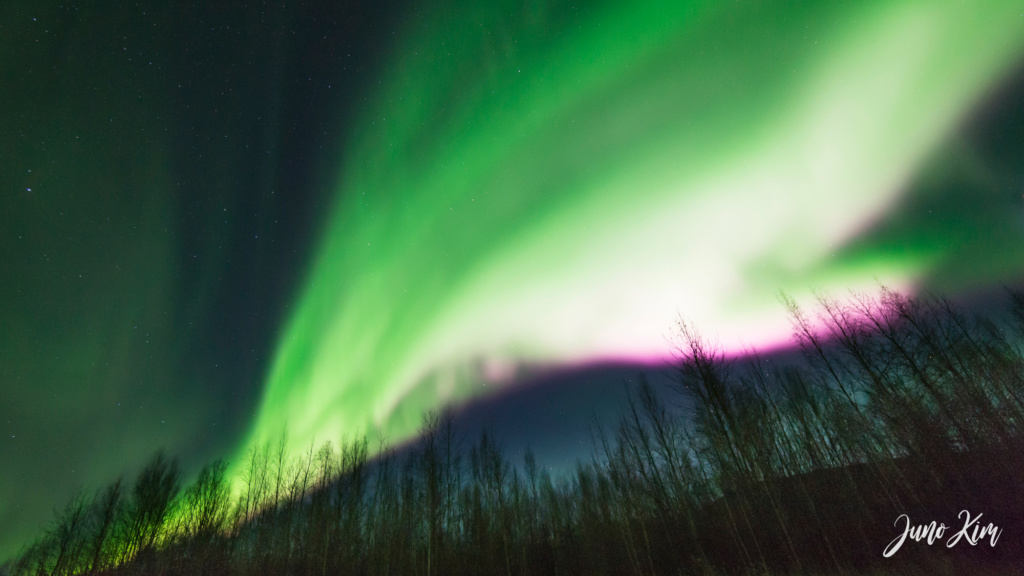 northern lights in fairbanks