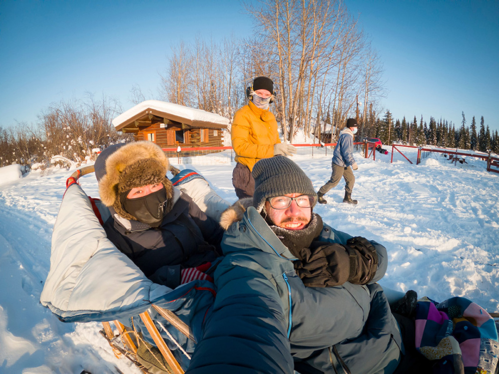 things to do in fairbanks catch a dogsled tandem style