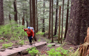 climbing-stairs-on-the-gavin-hill-trail-in-sitka