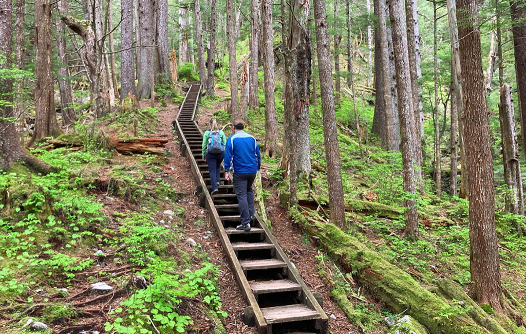 Climbing the stairs on Gavan Trail in Sitka