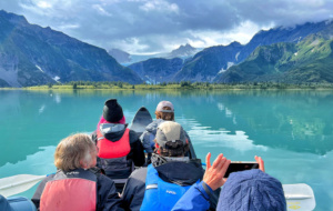 alaska-safari-in-kenai-fjords-np
