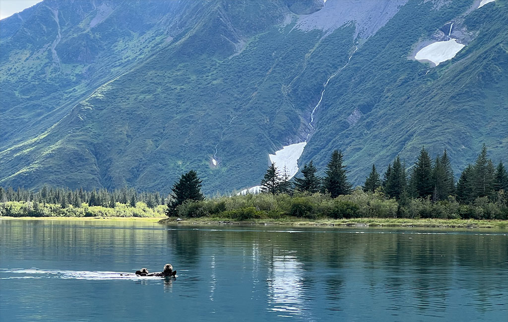 pedersen-lagoon-in-front-of-kenai-fjords-glacier-lodge