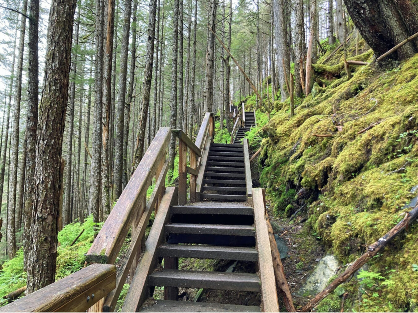 Jennie goes to Juneau - Alaska Travelgram